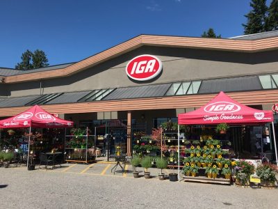 Job Opportunities at IGA: Find the Right Position for You